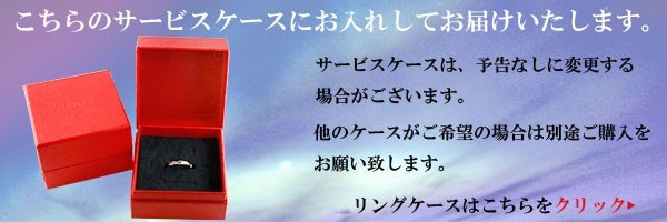 サービスケース