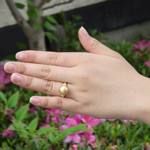 南洋白蝶真珠真珠:リング:ゴールド系:K18:コールド